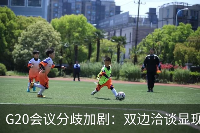 G20会议分歧加剧：双边洽谈显现新趋势